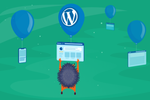 优惠预告：Namecheap庆祝WordPress18周年庆