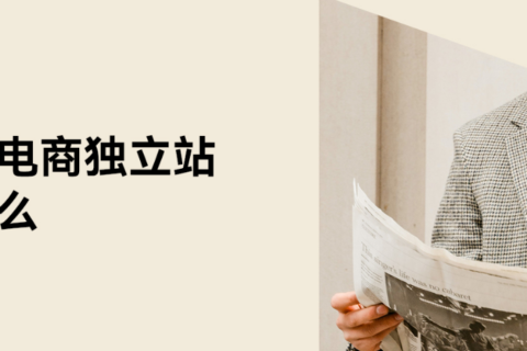跨境电商独立站是什么
