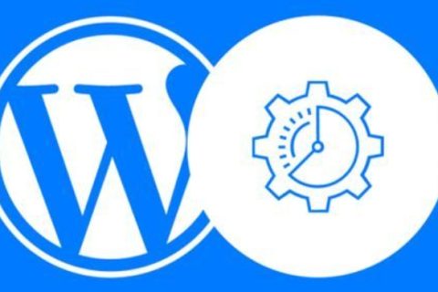 选择WordPress外贸建站