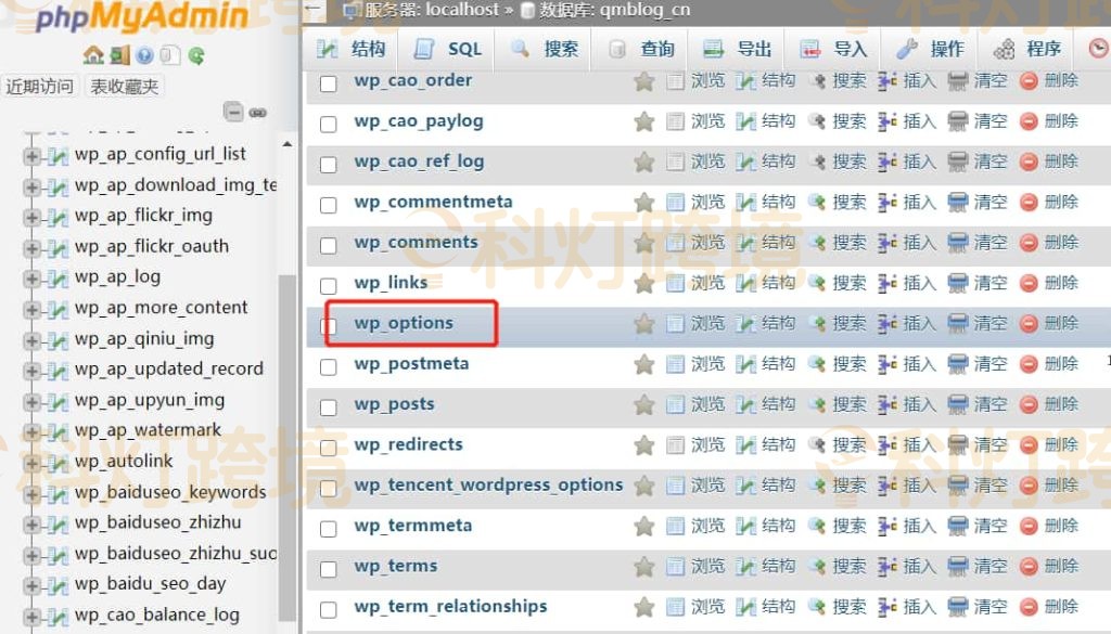 进入 wp_options