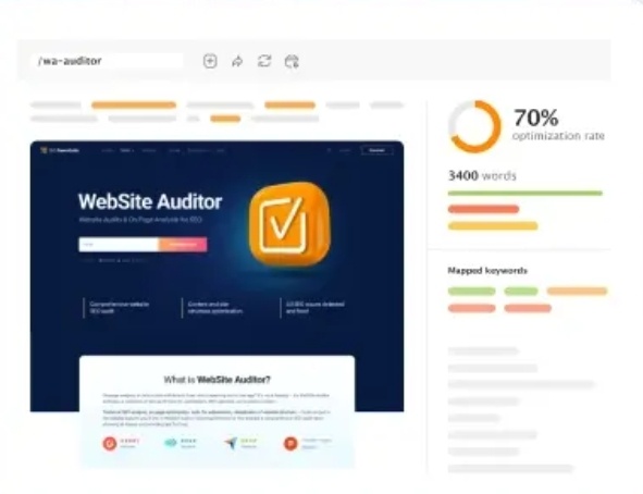 WebSite Auditor内容审核