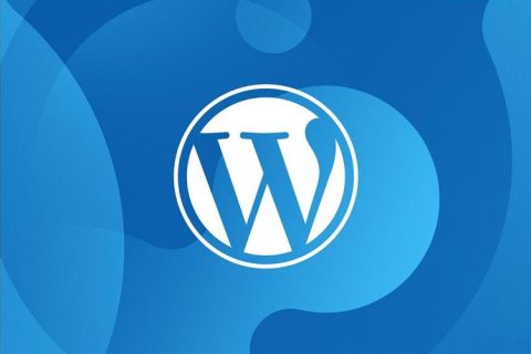 WordPress源码站主题