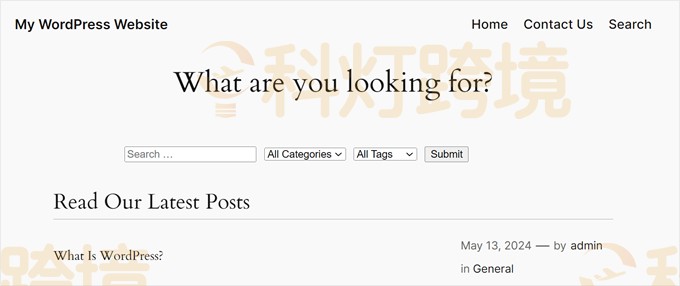 显示带有 search、category 和 tag 字段的筛选选项
