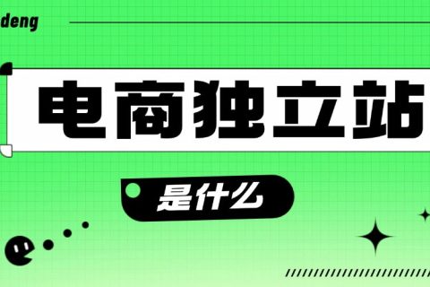 电商独立站
