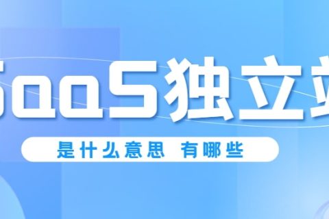 SaaS独立站