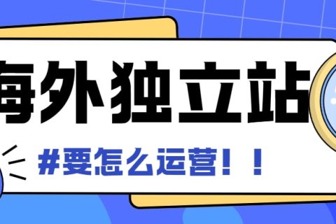 海外独立站运营