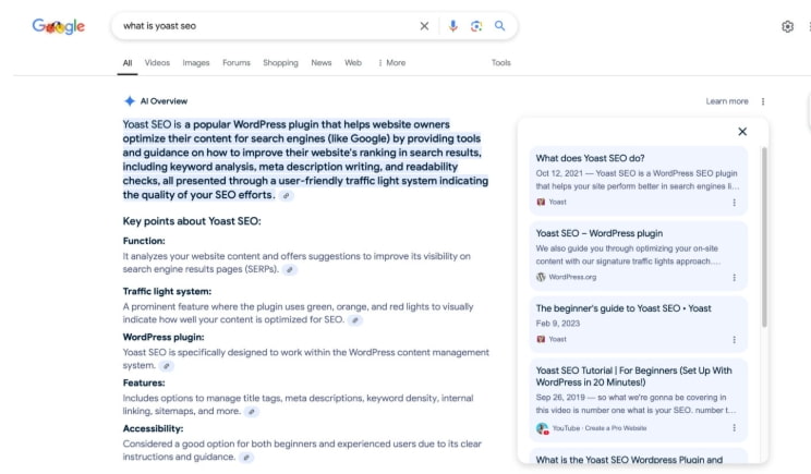 Google AI 概述
