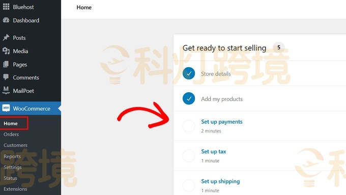 点击Set up payments选项