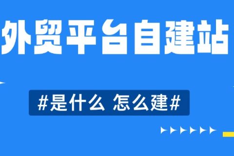 外贸平台自建站