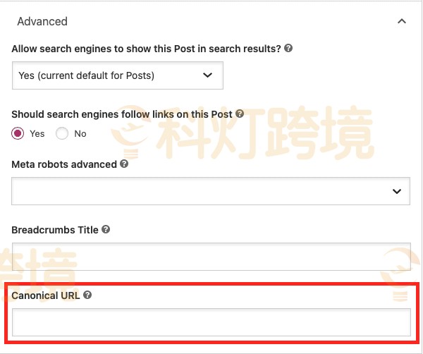 在Canonical URL框输入完整的 URL