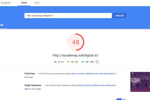 Google Pagespeed Insights得分