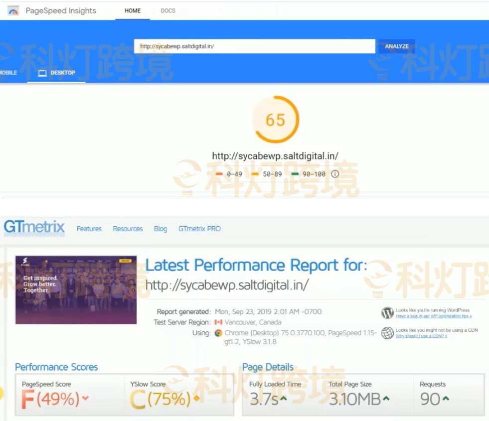 使用插件后的Google Pagespeed Insights和GTmetrix得分