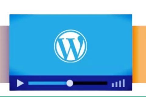 WordPress视频播放器插件
