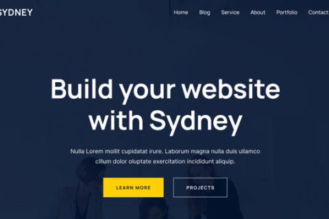 WordPress博客模版推Sydney