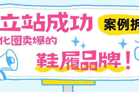 独立站优秀案例分析