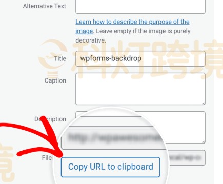 点击复制URL到剪贴板