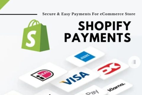shopify payments综合指南