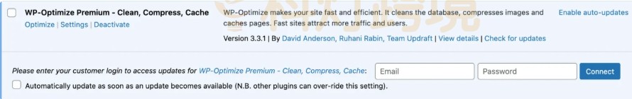 输入WP Optimize凭证