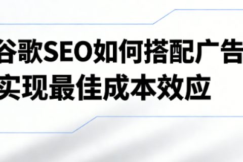 谷歌SEO搭配广告