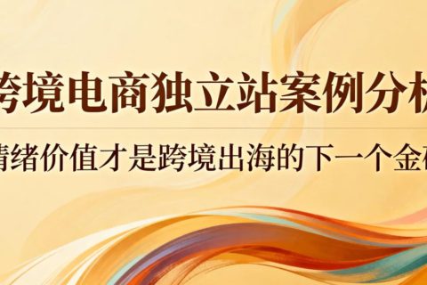 跨境电商案例分析