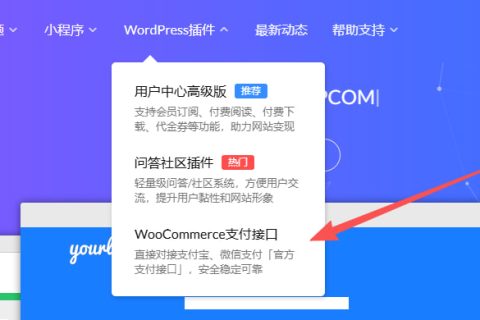 点击WooCommerce支付接口