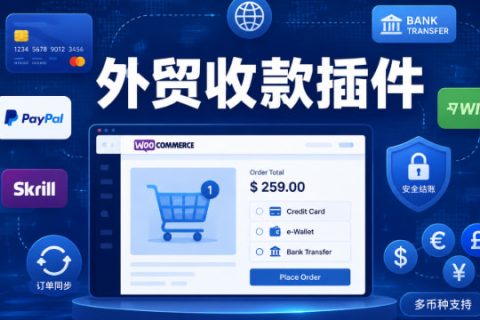 外贸收款插件