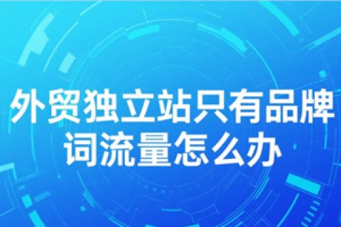 外贸独立站