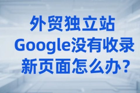 外贸独立站