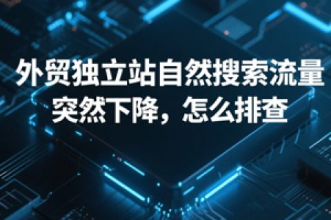 外贸独立站