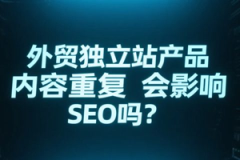 外贸独立站