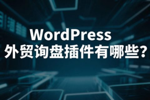 WordPress外贸询盘插件