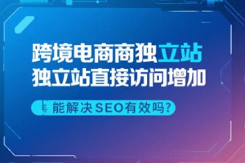跨境电商独立站