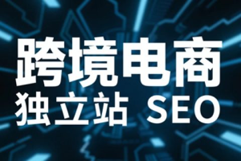 跨境电商独立站