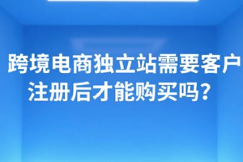 跨境电商独立站