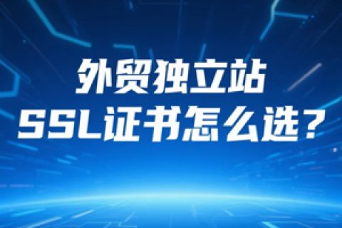 外贸独立站
